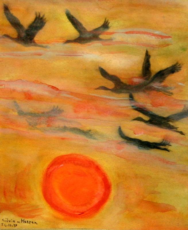 Vogelschwarm bei Sonnenuntergang