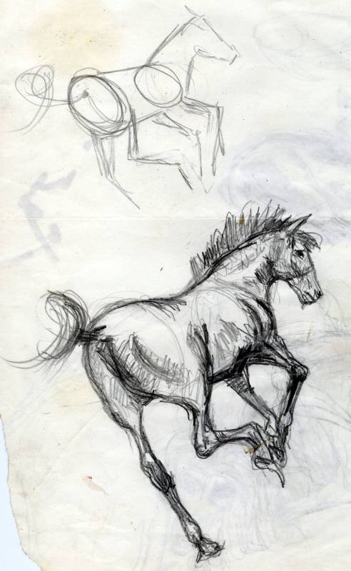 Pferd-Entwurf